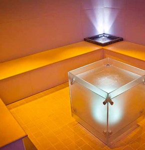 sauna_falcosportvillage