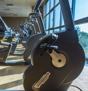 salafitness_falcosportvillage